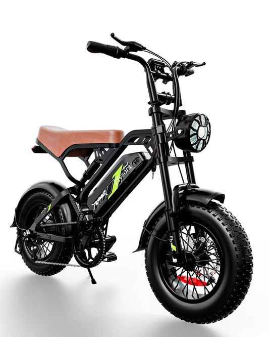 16インチマウンテンクロス電動自転車Ripwheat EMB02