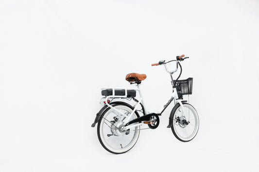 Ripwheat Bike