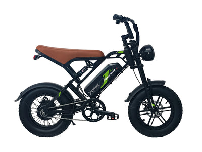 16インチマウンテンクロス原動機付自転車Ripwheat EMB02